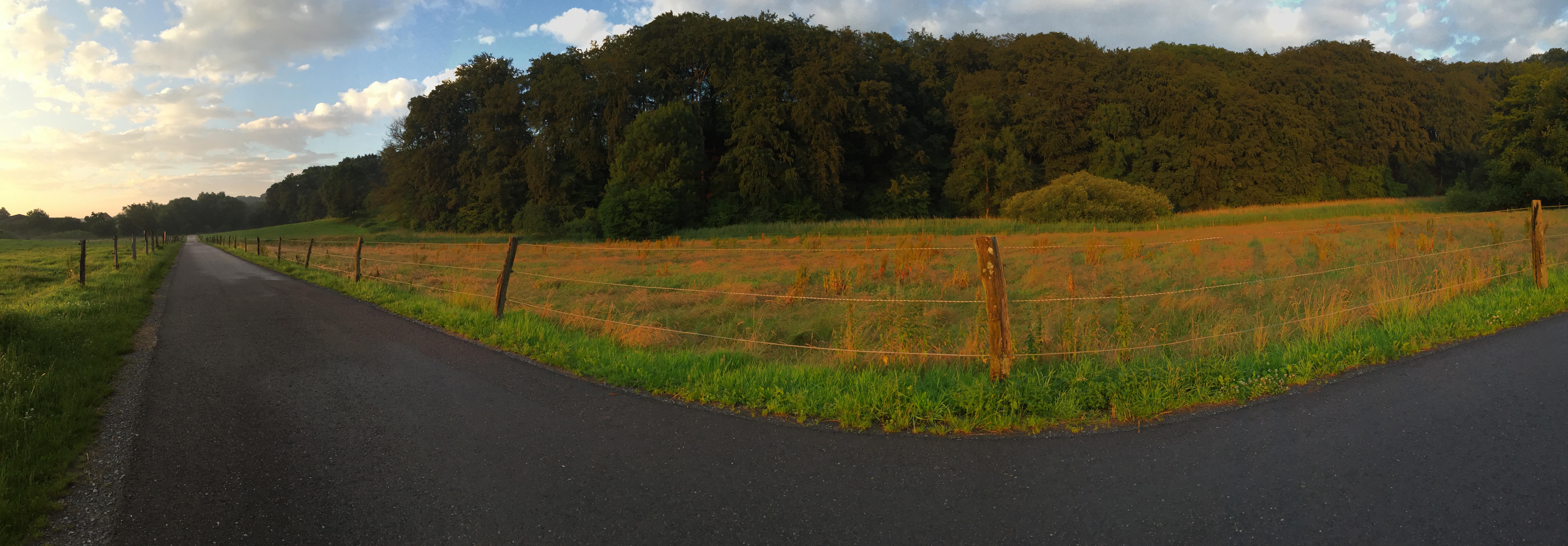 /schnipsel/201606-jun-2016/20160625-abendspaziergang/Photo Juni 25, 9 12 03 PM.jpeg
